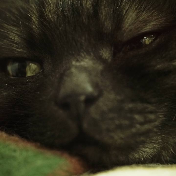 33be008b 657d 4ae5 8fa1 1f279da463c5 1560266094155