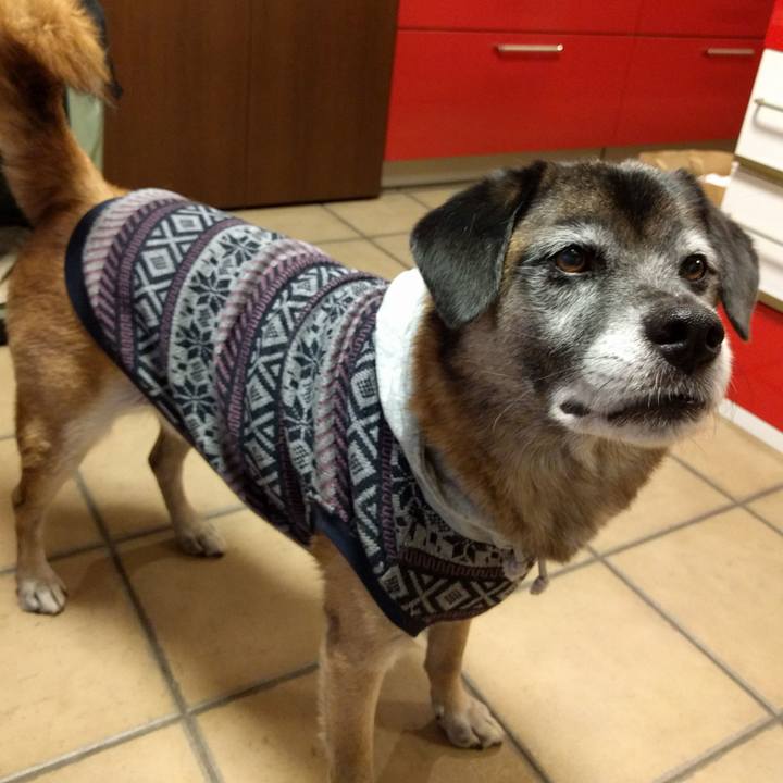 33be0b6a b9d5 4811 bab6 7f6428065c0b 1689032738986