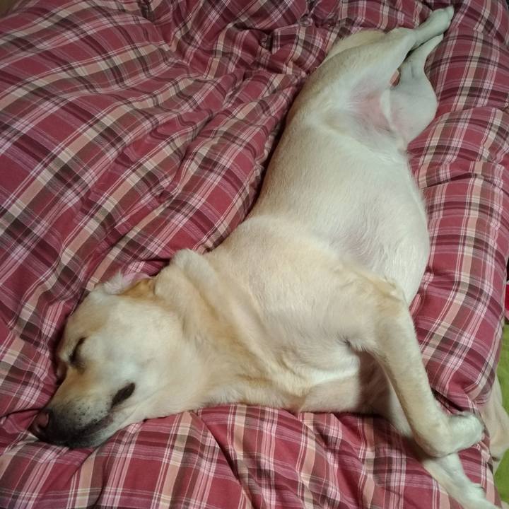 33be9010 66f1 47d1 b1f0 fd74504ca79d 1604816132871