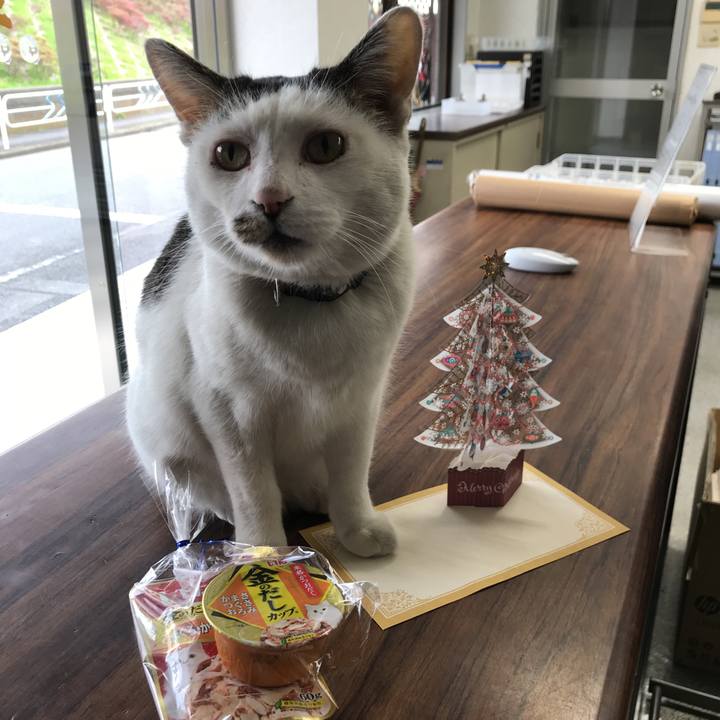 33bec98e 8b0d 4f0c b358 05506bf84e9b 1577248825473