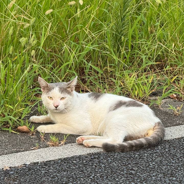 33bf1c5c 4fd7 439a 8cbf 35dc3625c6d6 1756176488497