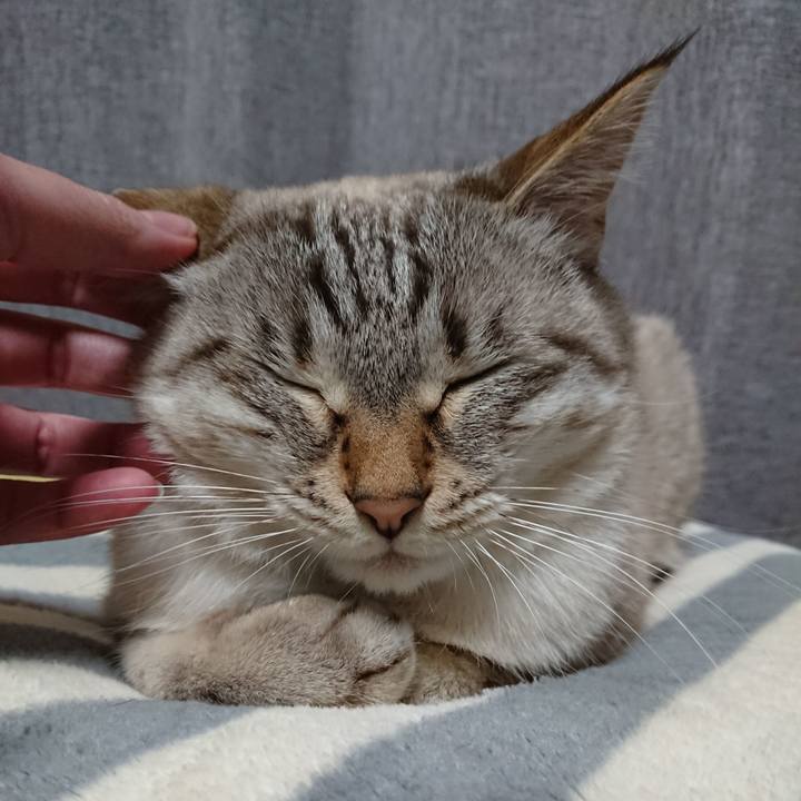 33bf1e6a 7156 411a 8a8e 0f4153584841 1609154090519