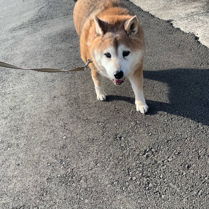 33bfeef4 c3b3 4afd b4b9 2a77b2e7ec34 1618786480697