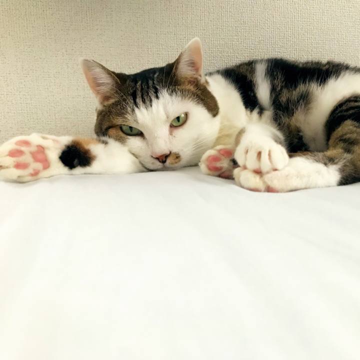 33c00bb0 8e53 49e1 9179 060e8bfe9c0c 1534318363959