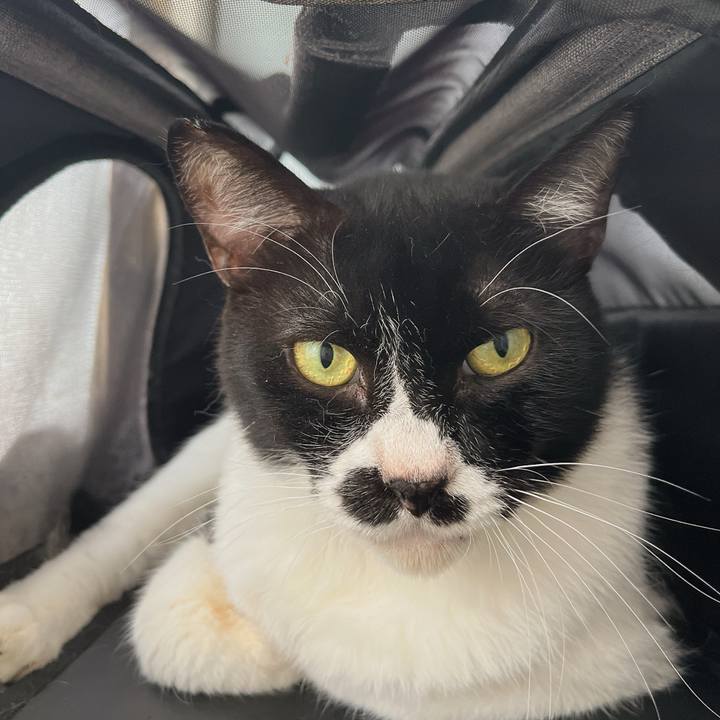 33c02f93 173d 4c82 8f41 05e2c7986f88 1696512490290