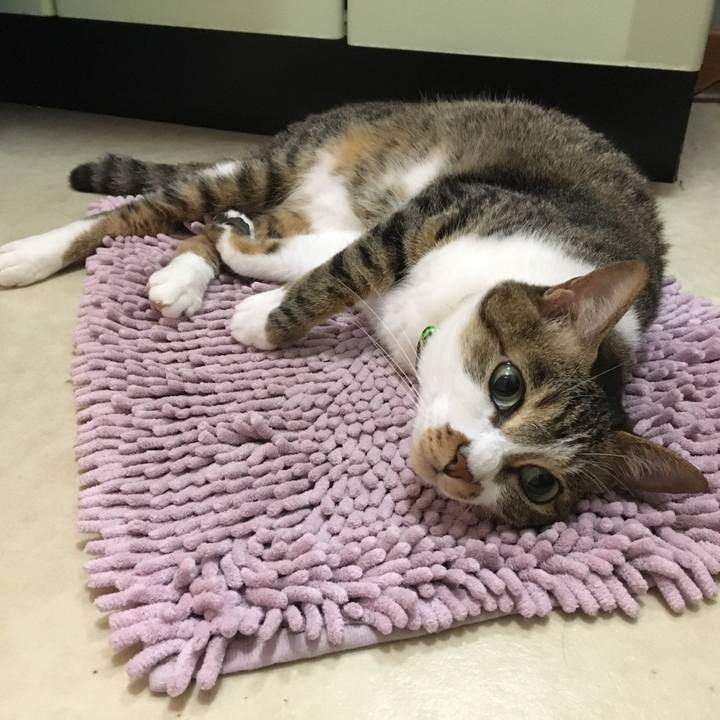 33c0b3a7 ac14 495e 9e44 b200a8075c98 1530714503546