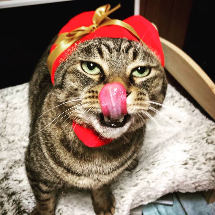 33c0b5dd 856d 49bc 84f9 350c929913c7 1518607277148