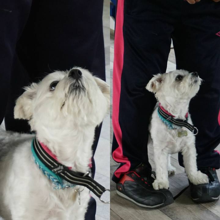 33c0cb0b f598 4c25 ba97 e5c675261e9b 1559386738983