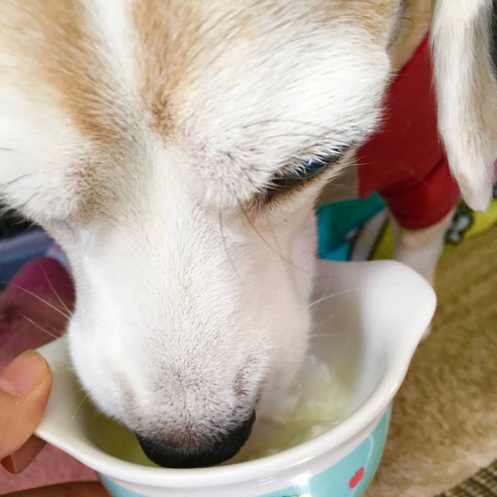 33c0d82d f3cd 4b27 9cc6 e01d8c88fed1 1576048098495