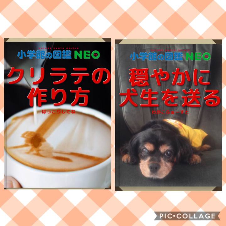 33c11e17 3146 47de 9e61 b54708e2a810 1578281901065