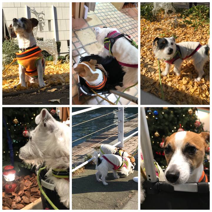 33c1210a 3f64 4c9c b1bb bf2216785e03 1513407099366