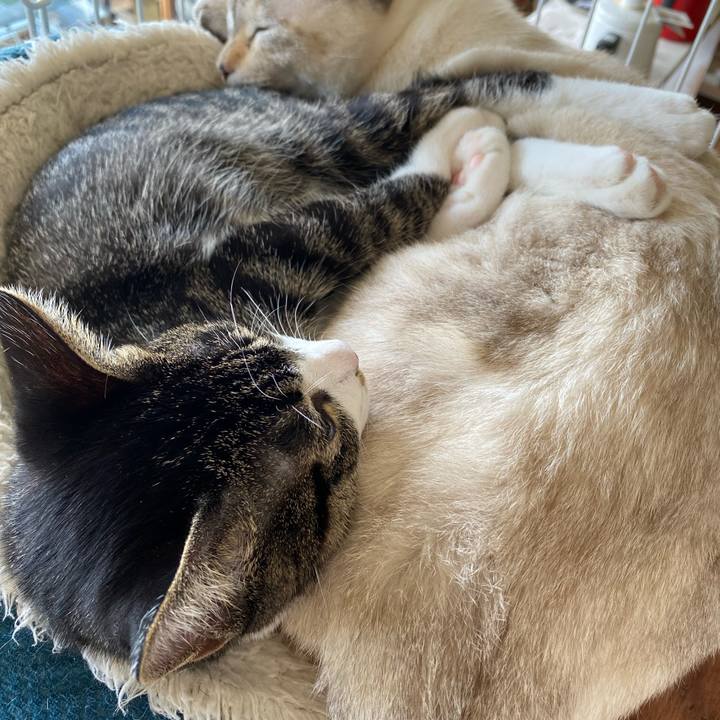 33c142af d0bb 45d0 b527 ceab6d5b9304 1695877444526