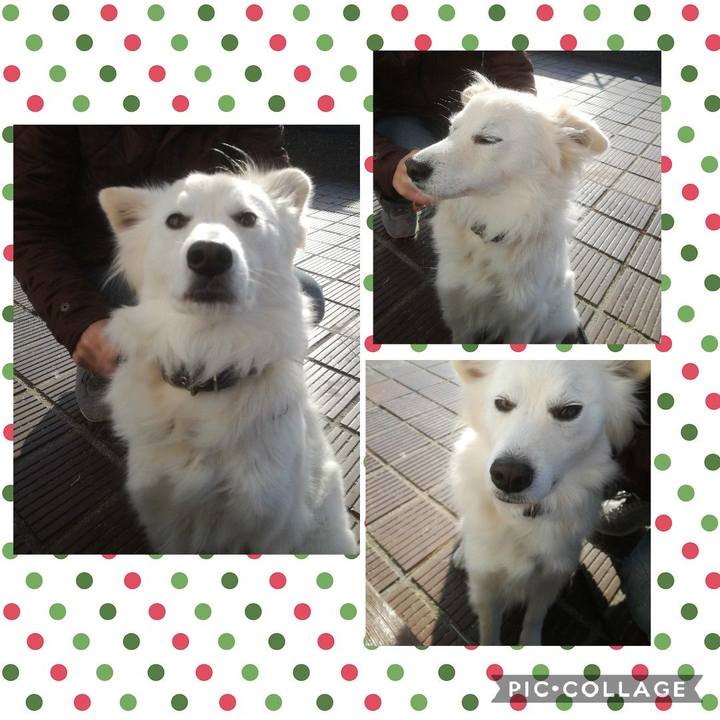 33c15800 4a0a 45e9 8799 9e9731d88221 1515227280896