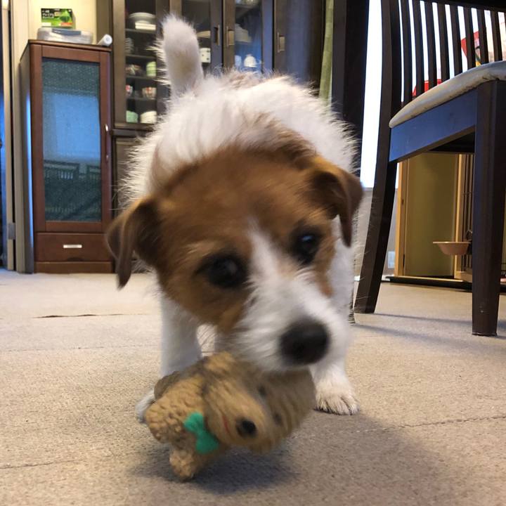 33c15bd9 4750 48e6 ab40 e0d3aacb40c1 1528230929050