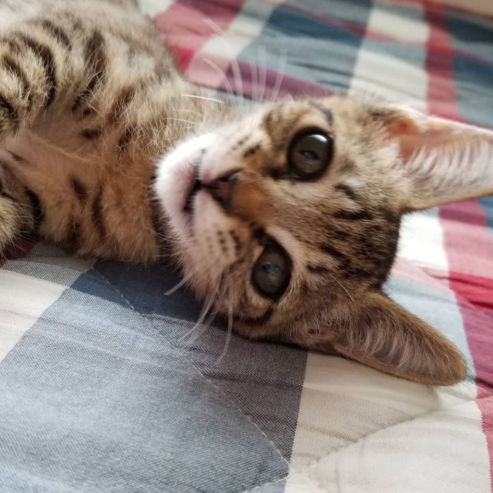 33c173c0 65a4 4d42 add8 2324d21c104e 1535207438867