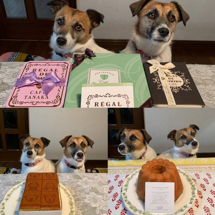 33c1d19d 0848 420a af27 05444a5baa08 1618137618528