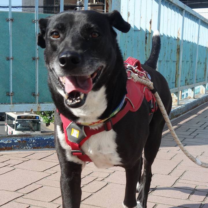 33c243de 72d1 4ad6 8ab2 1060a7491e75 1685839262693