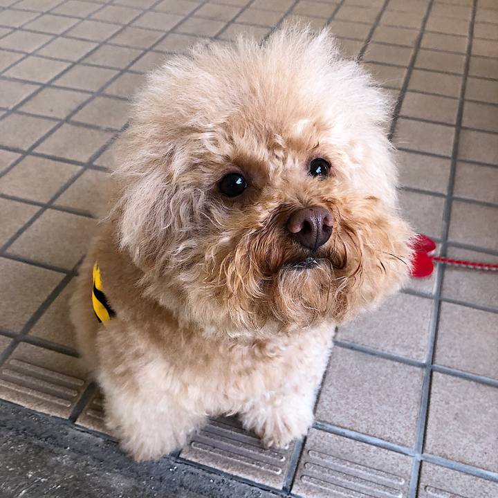 33c2584a c5d5 48a8 bfc1 89a3d5e8a2f5 1551267090359