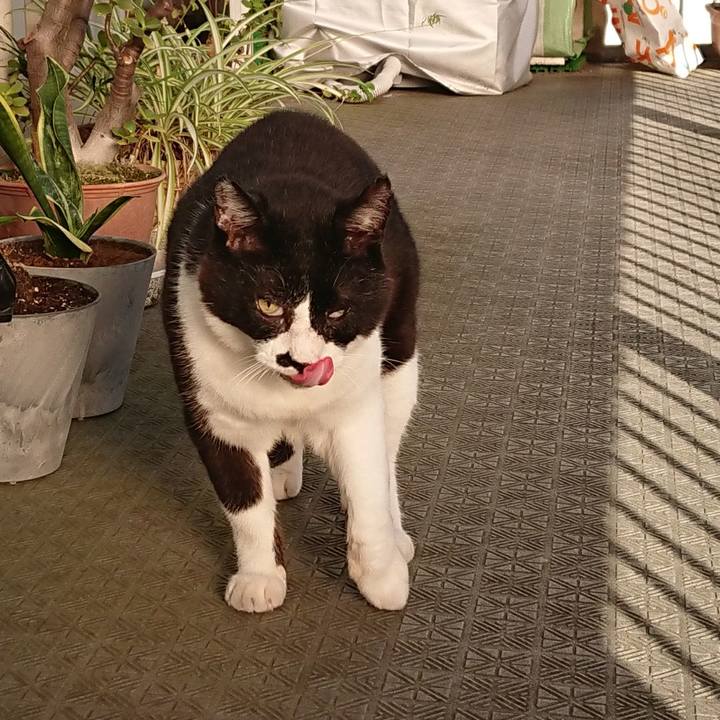 33c2696b 3676 4d62 ba9a 1b0201863222 1658699734556