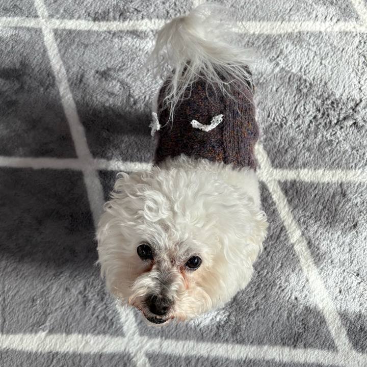 33c26f01 bd61 460f 8a19 7be94f62e301 1738901001191