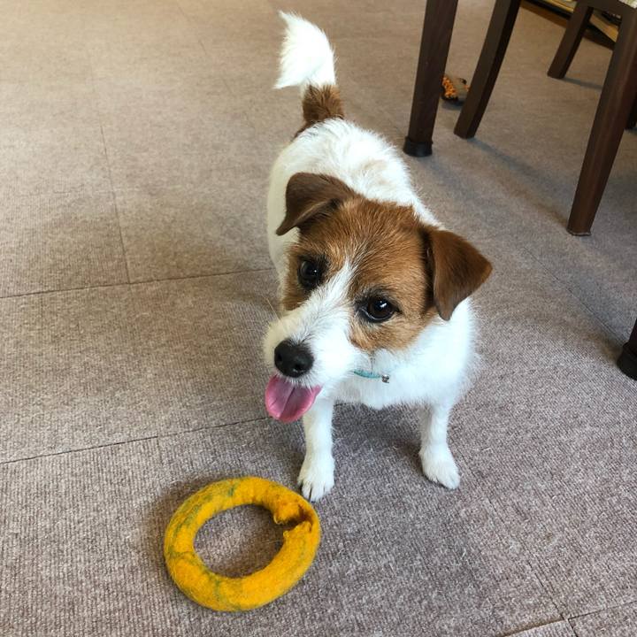 33c275c1 a489 49fe a272 abe663c8730c 1559248024455