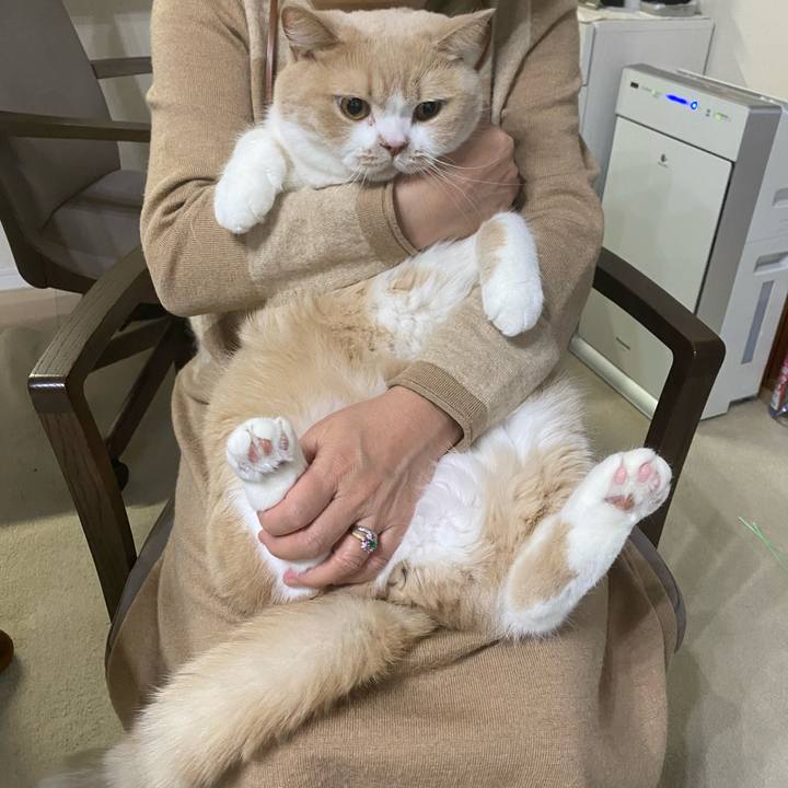 33c2ee4e bdd6 4ca0 983d f67b46ba0225 1669190284047