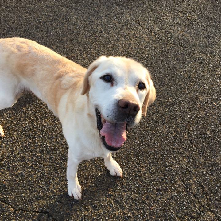 33c30f24 d5f5 4a77 9cc5 ebd3ab471358 1545375516906