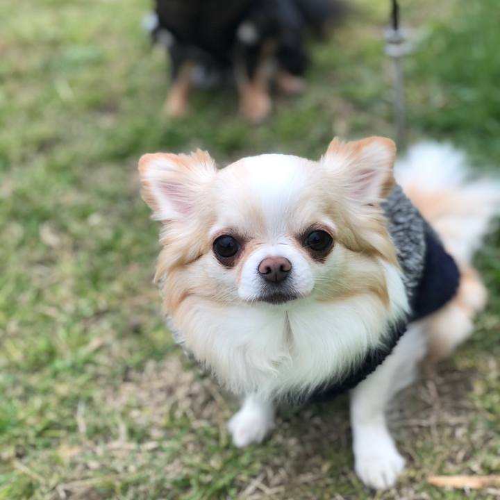 33c31c0e 99dc 498d 9dd6 3429f667025d 1618661365756