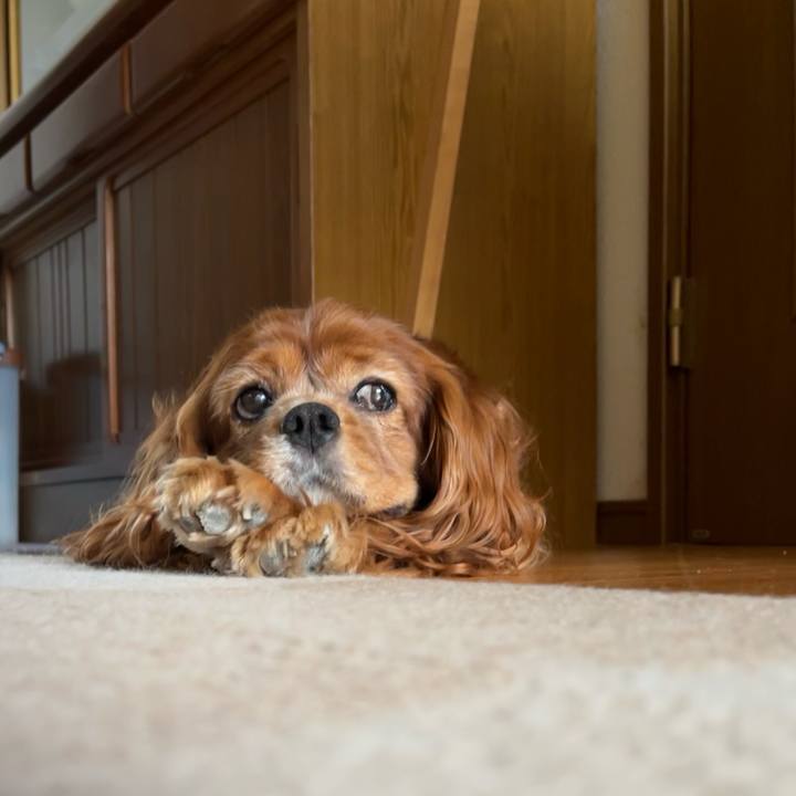 33c3526b b45f 4a7e 959e dc71ec0da3da 1693780572075