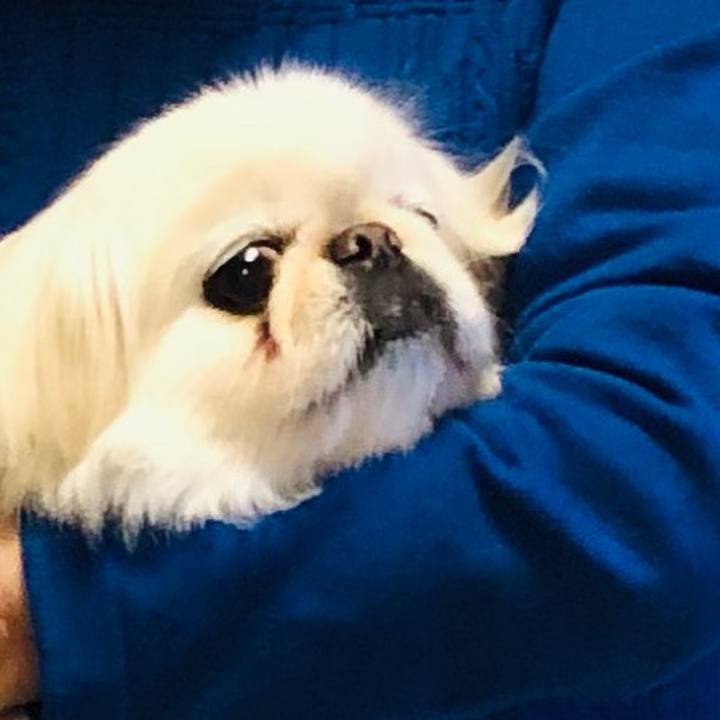 33c3a93a 4227 4f43 9f62 ab95ad809e8f 1618828780257