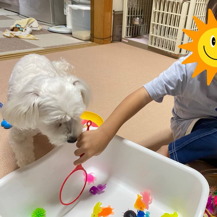 33c3a93b d887 4cdc b45f 5f45745dc92a 1694239961359