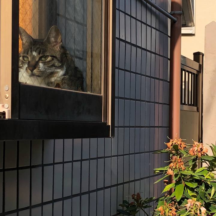 33c3bd04 98d5 41a4 84f5 da4855f209d0 1524657415679