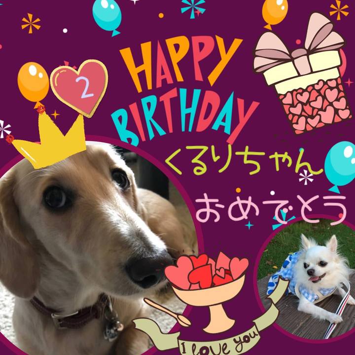 33c3fef5 26e7 4267 829e 44beb0af8e60 1535929824070