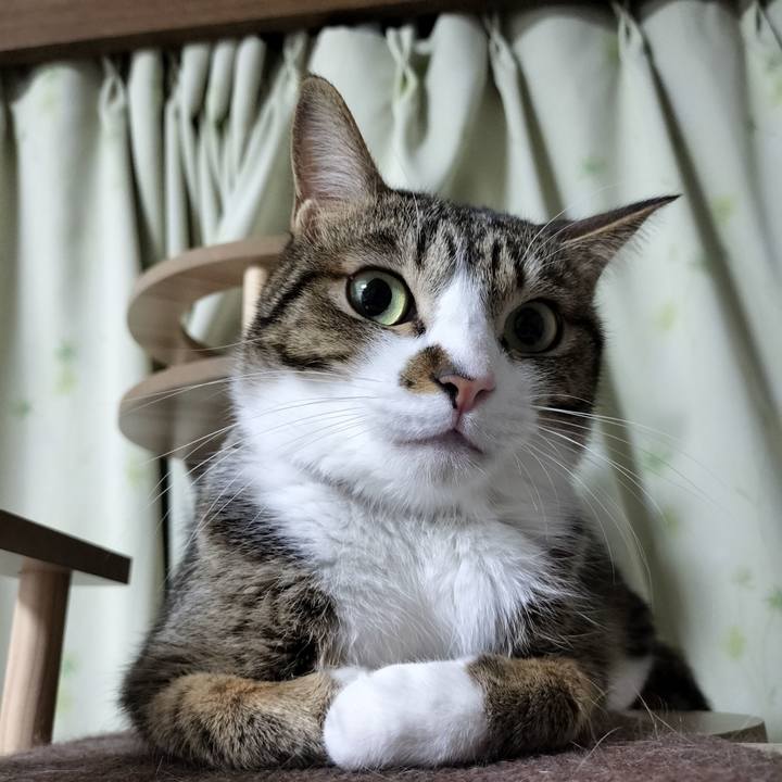 33c401ff ac57 483c 86c2 1c4f125f59dc 1739707219689