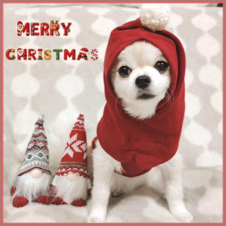 33c40397 0be9 4612 b0e6 8b5c28213bac 1766584488995