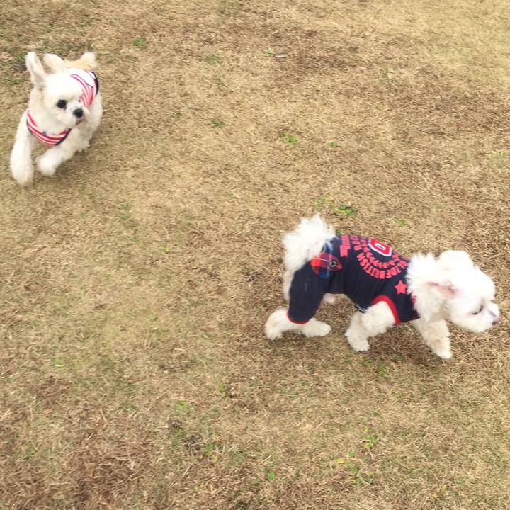 33c410fd ace1 42c8 b734 875cf1ab2078 1543315066146