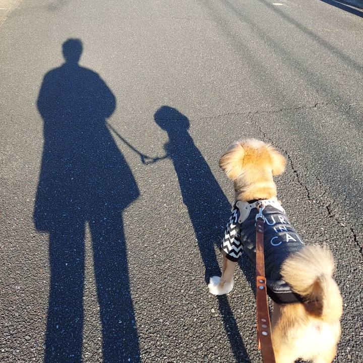 33c41ac6 8d8d 4623 bb56 0df2bee3f2b0 1635203993639