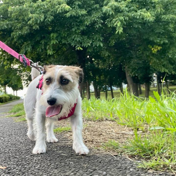 33c42c90 4a3d 4e24 88f6 e139753854ea 1655632280660