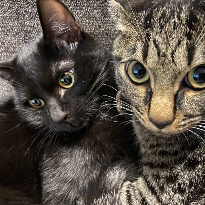 33c47b97 4186 4a51 a17f 91c1fb1bd02e 1620040951138