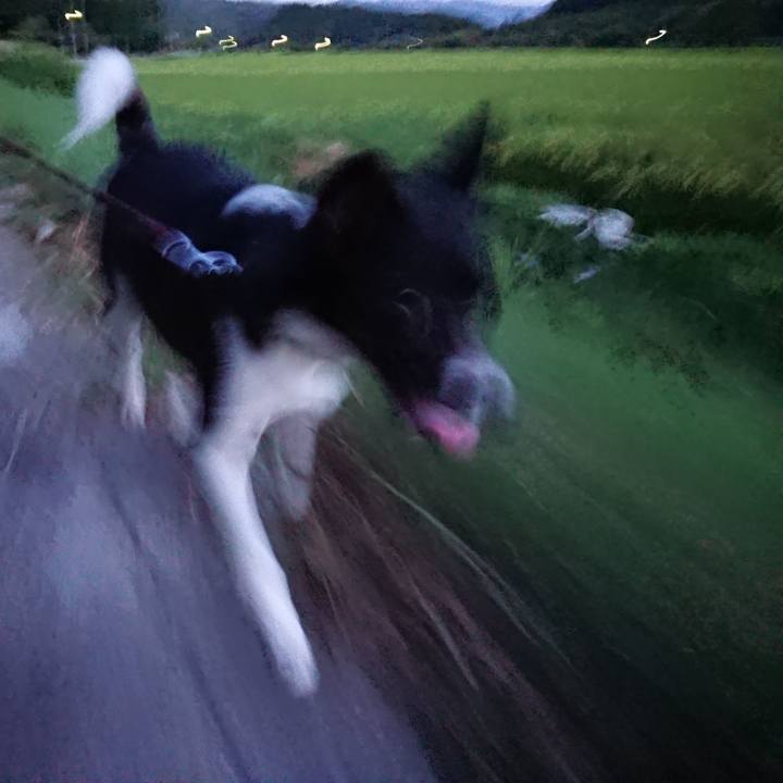 33c489e6 95d7 4b16 9ddb 89c0c212e133 1534591312931