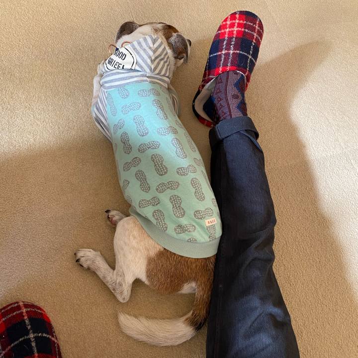 33c49a3b ada8 4c53 b9fd 94c85e80aaf7 1609038905549