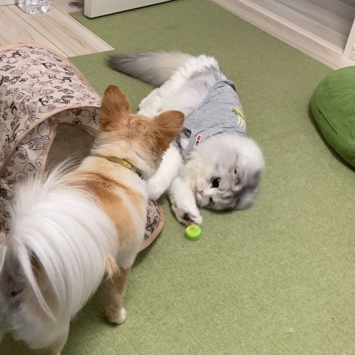 33c4ab8e a6bc 4438 8233 ff719d94a878 1634906780213