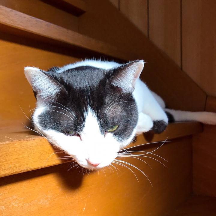 33c4c13f 3473 484c 9d86 92a9a345185f 1524912111214