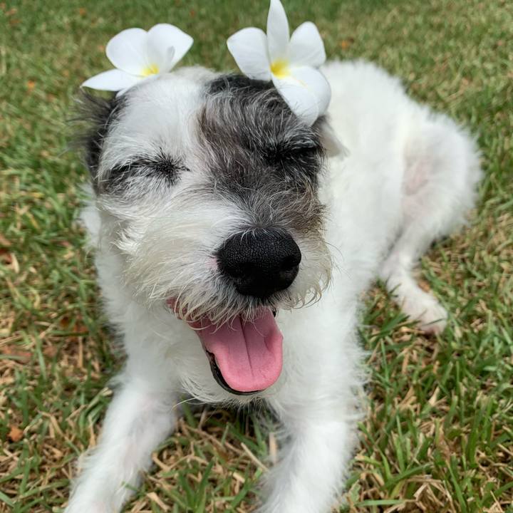 33c4c553 40fc 4cf0 ab3c 5cfecf3f5591 1599517610801