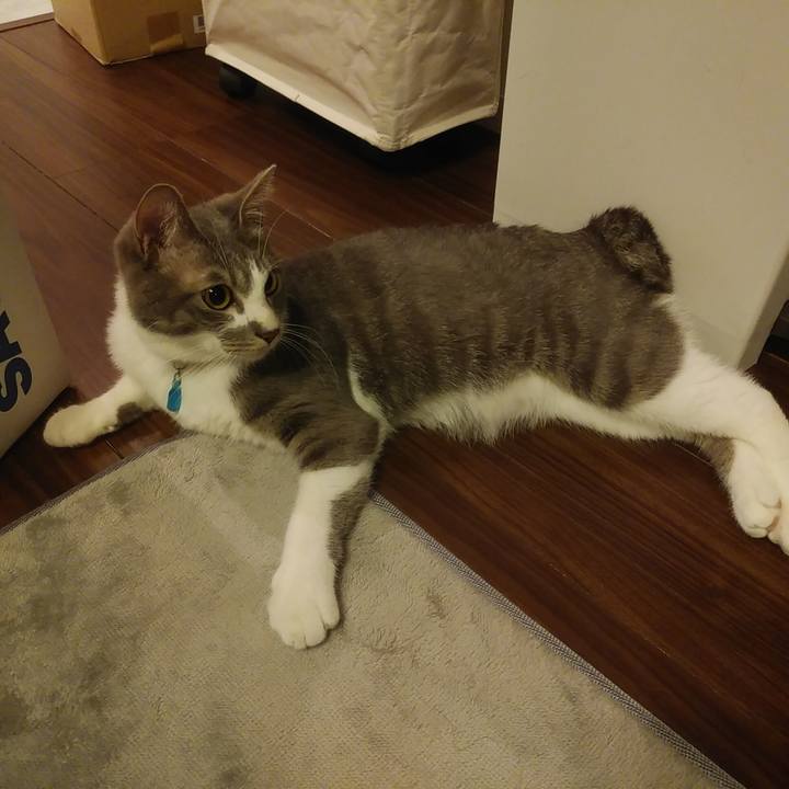 33c508f4 7536 4afd bcb3 4664bc08a0f7 1591449513268