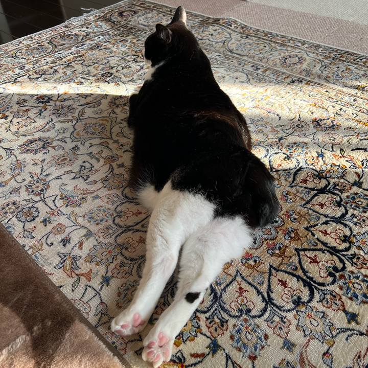 33c50d2b 3b35 4139 bb4d 9d83d870500e 1772404417550