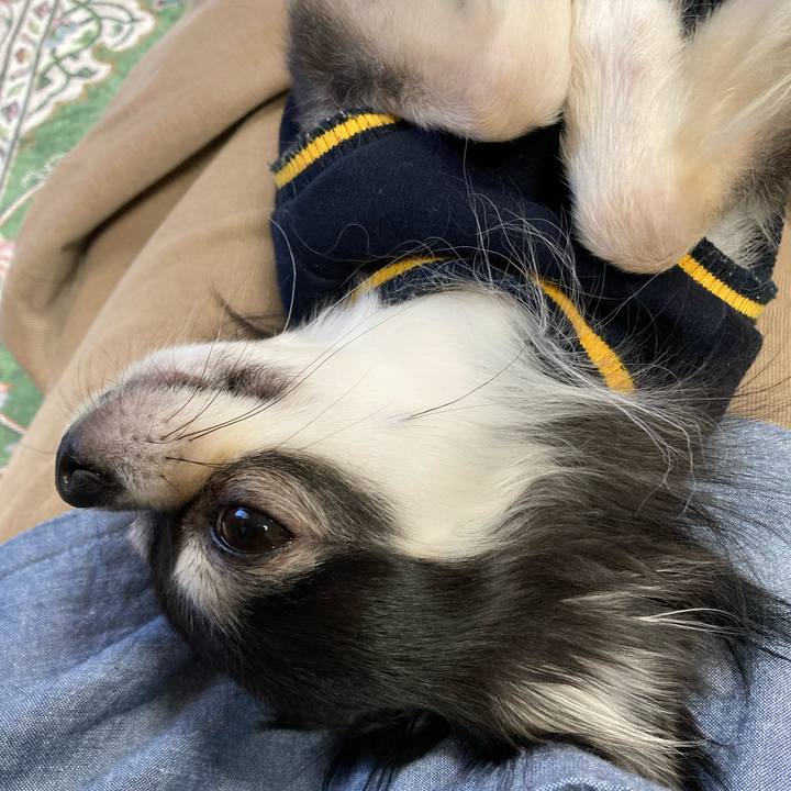 33c5250d 01d9 48ef 984e 75d6756f952a 1667660293075