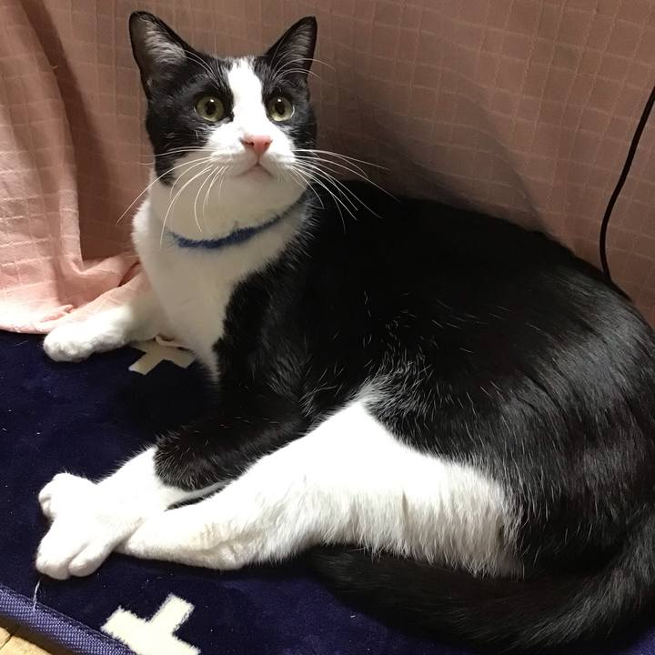 33c5835a 7326 4901 9921 fbd736637839 1705575376324