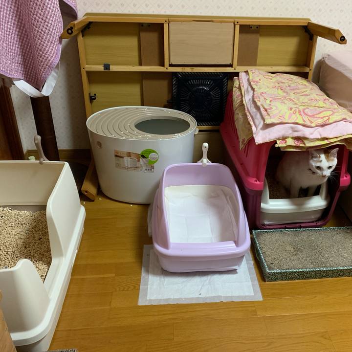 33c590ec d044 4cd2 9a6f 69c7c8935558 1565318849087