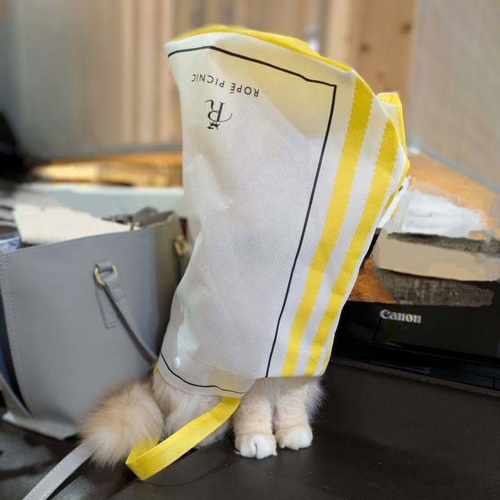 33c5a22d c47b 4358 98a9 e38c341438f9 1747994337289